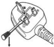 PANASONIC PT-EX520U - IMPORTANT: THE MOULDED PLUG - 1