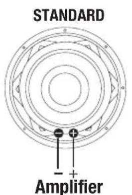 STANDARD Amplifier
