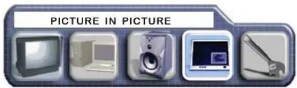 PICTURE IN PICTURE