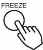 VIEWSONIC PB650 - Freezing the Screen - 1