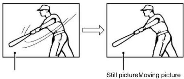 Still pictureMoving picture