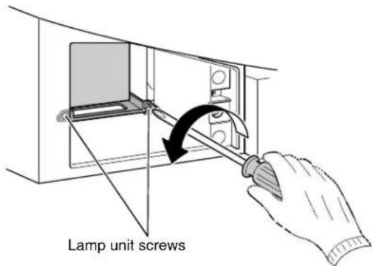 Lamp unit screws