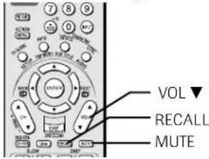 VOL RECALL MUTE