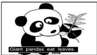 Giant pandas eat leaves.