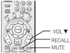 VOL RECALL MUTE