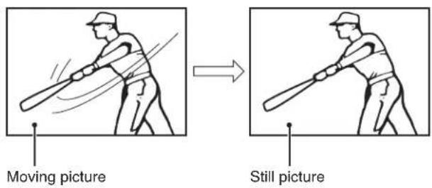 Moving picture Still picture