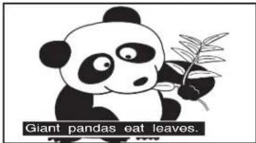 Giant pandas eat leaves.