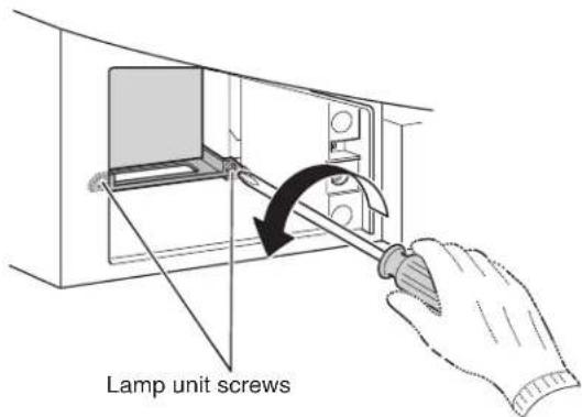 Lamp unit screws