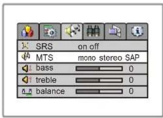 VOXX FPE1705 - Selecting the MTS - 1
