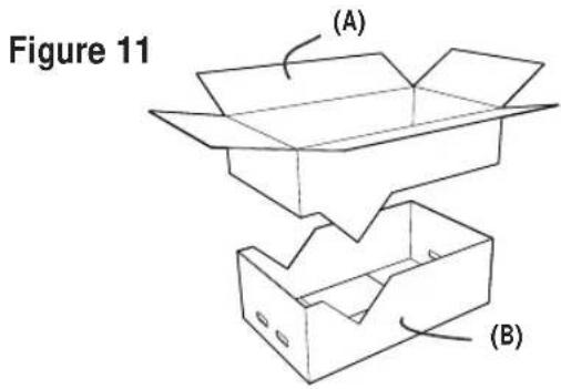 Figure 11 (A) (B)