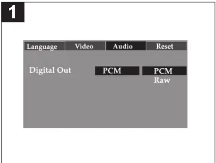 MEMOREX MVDP1076 - AUDIO SETUP MENU: - 1