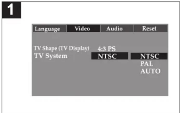 MEMOREX MVDP1076 - VIDEO SETUP MENU: - 2