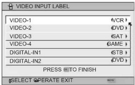 JVC HD-P70R1U - Video Input Label - 5