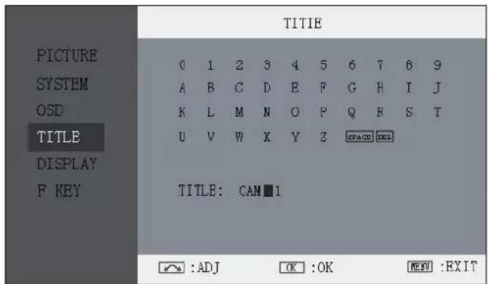 JVC DT-X71C - Title Settings Submenu - 1