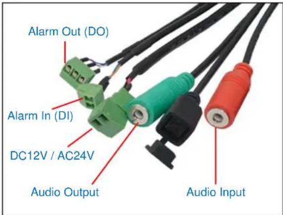 Alarm Out (DO) Alarm In (DI) DC12V / AC24V Audio Output Audio Input