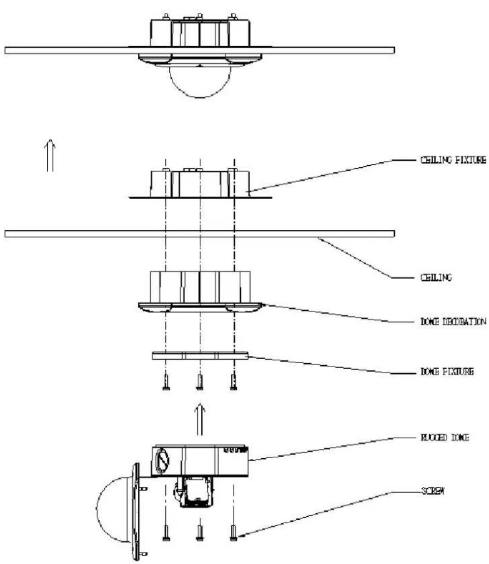CEILING FIXTURE CEILING DONE DECORATION DONE FIXTURE ROOFED DIME SCREW