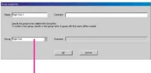 Group properties Name: Right List 1 Comment: I choose the group to be called in the Group file. To create a new group, specify a new group name. A group with that name will be created. Group: Right List Comment: OK Cancel