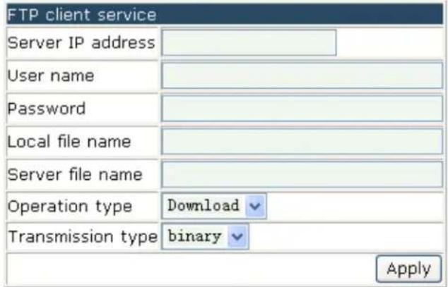 Amer WS6028 - FTP Client Service - 1
