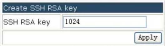Amer WS6028 - SSH Management - 3