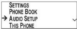 PLANTRONICS SoundStation VTX 1000 - Access the Audio Settings - 1