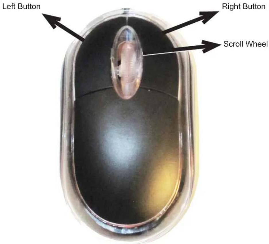 Left Button Right Button Scroll Wheel