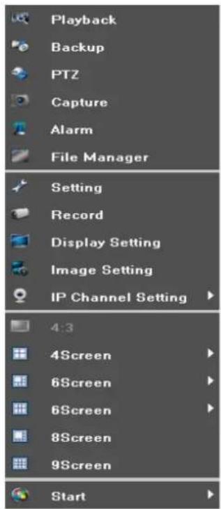 Playback Backup PTZ Capture Alarm File Manager Setting Record Display Setting Image Setting IP Channel Setting 4:3 4Screen 6Screen 6Screen 8Screen 9Screen Start