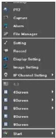 Start 9Screen 8Screen 6Screen 4Screen IP Channel Setting Display Setting Record Setting File Manager Alarm Capture PTZ