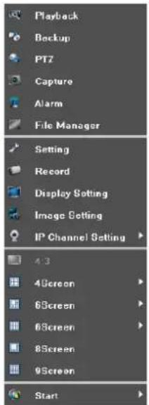 Playback Backup PTZ Capture Alarm File Manager Setting Record Display Setting Image Setting IP Channel Setting 4.3 4Screen 6Screen 6Screen 8Screen 9Screen Start