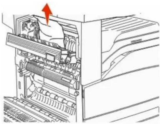 LEXMARK X862dte 4 - paper jam - 6
