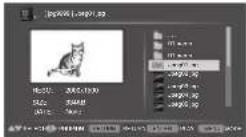 MAGNAVOX DP170FX4 - Note: - 2