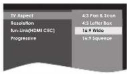 MAGNAVOX DP170FX4 - TV Aspect: (Default: 16:9 Wide) - 1