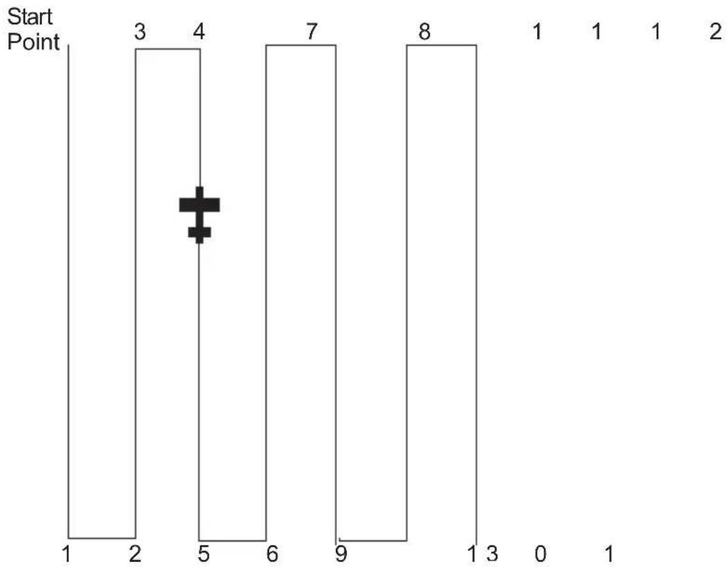 GARMIN Apollo GX 50 - Parallel Line Search Pattern - 1