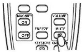 MAGNIFY ON FREEZE OFF VOLUME MUTE KEystone ON DR