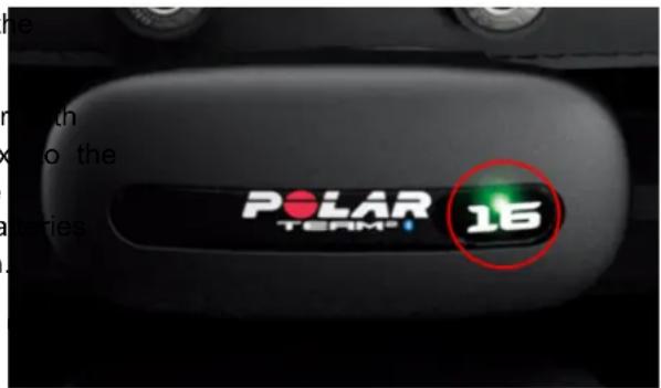 POLAR Cardio GX - POLAR TEAM ^2 CHARGER - 2
