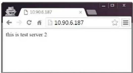 10.90.6.187 10.90.6.187 this is test server 2