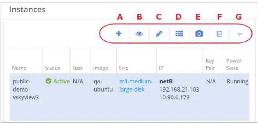 Instances A B C D E F G + ✓ + - = = = = = Name Status Task Image Size IP Key Pair Power State public- demo- vskyview3 Active N/A qa- ubuntu m1.medium- large-disk netB 192.168.21.103 N/A Running 10.90.6.173