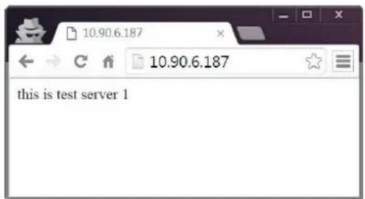 10.90.6.187 10.90.6.187 this is test server 1
