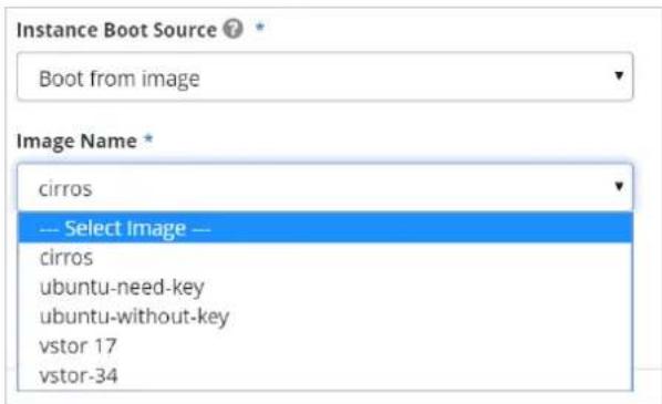 Instance Boot Source ? Boot from image Image Name * cirros --- Select Image --- cirros ubuntu-need-key ubuntu-without-key vstor 17 vstor-34