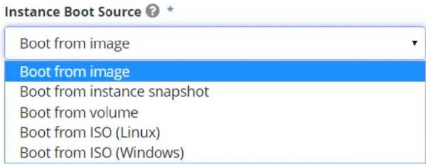 Instance Boot Source ? Boot from image Boot from image Boot from instance snapshot Boot from volume Boot from ISO (Linux) Boot from ISO (Windows)