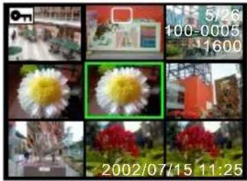 ROLLEI dk3000 - - Thumbnail Playback - 2