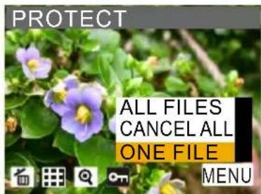 PROTECT ALL FILES CANCEL ALL ONE FILE MENU