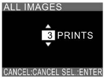 ALL IMAGES 3 PRINTS CANCEL:CANCEL SEL:ENTER