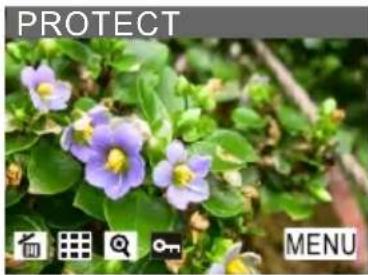 ROLLEI dk3000 - □ Protecting / Unprotecting a Single File or All Files - 1