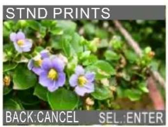 STND PRINTS BACK:CANCEL SEL:ENTER