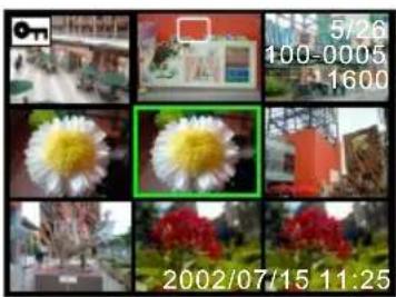 ROLLEI dk3000 - - Thumbnail Playback - 1