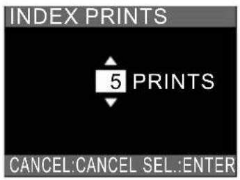 INDEX PRINTS 5 PRINTS CANCEL:CANCEL SEL:ENTER
