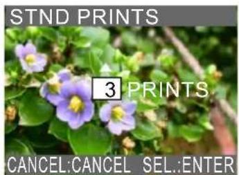 STND PRINTS 3 PRINTS CANCEL:CANCEL SEL:ENTER