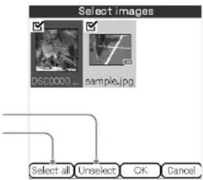SONY Clié PEGA-CC5 - Tip - 1