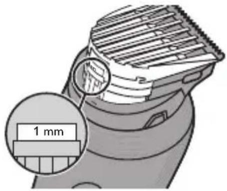 1 mm