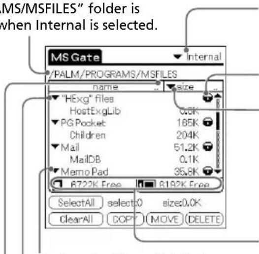 MS/MSFILES" folder is when Internal is selected. MS Gate Internal /PALM/PROGRAMS/MSFILES name size "HExg" files HostExgLib 0.5K PG Pocket 185K Children 204K Mail 51.2K MailDB 0.1K Memo Pad 35.8K 6722K Free 8192K Free SelectAll select() size:0.0K ClearAll DROP MOVE (DELETE)